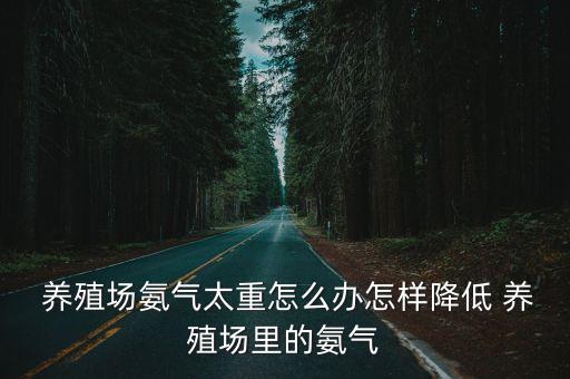  養殖場氨氣太重怎么辦怎樣降低 養殖場里的氨氣