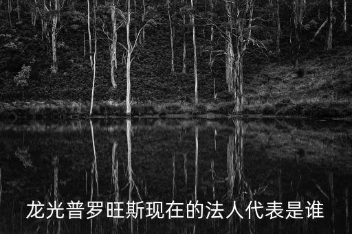 龍光普羅旺斯現在的法人代表是誰
