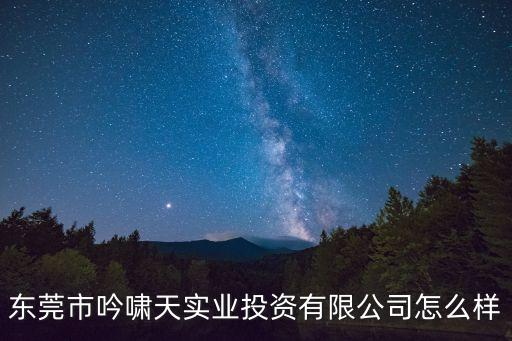 東莞市吟嘯天實(shí)業(yè)投資有限公司怎么樣