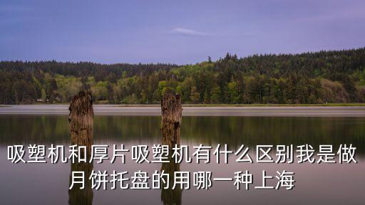 吸塑機和厚片吸塑機有什么區別我是做月餅托盤的用哪一種上海