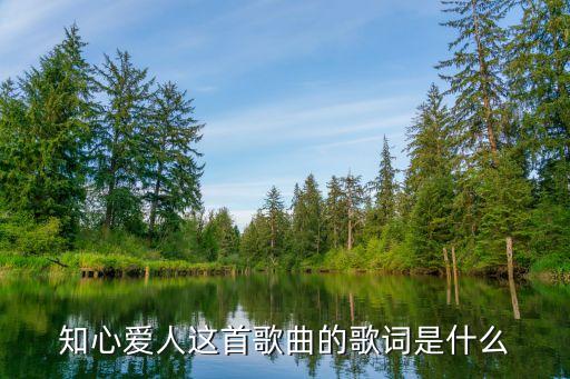 不變的心,張學友一顆不變的心