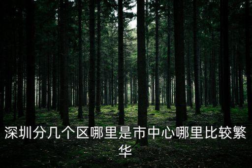 深圳分幾個區哪里是市中心哪里比較繁華