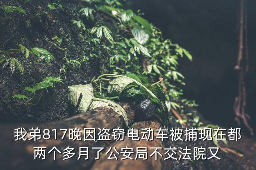 我弟817晚因盜竊電動車被捕現在都兩個多月了公安局不交法院又