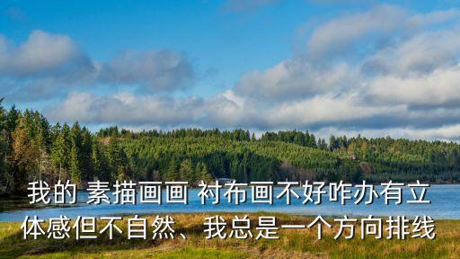 我的 素描畫畫 襯布畫不好咋辦有立體感但不自然、我總是一個方向排線