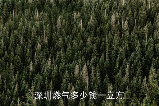 深圳燃氣多少錢一立方
