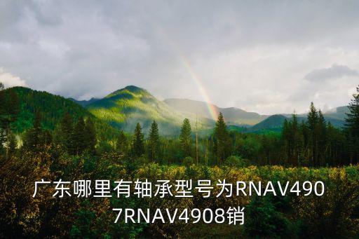 廣東哪里有軸承型號為RNAV4907RNAV4908銷