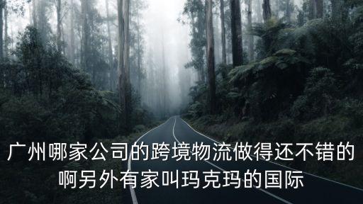 廣州易瑪物流有限公司怎么樣，廣州哪家公司的跨境物流做得還不錯的啊另外有家叫瑪克瑪?shù)膰H