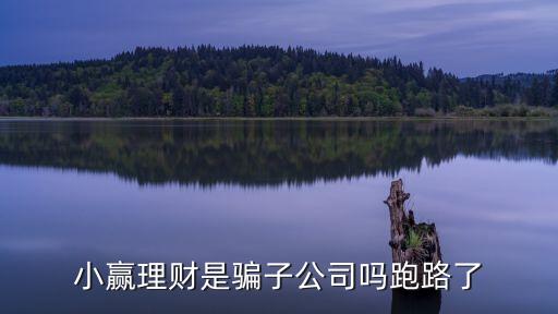 小贏理財深圳高飛，小贏理財?shù)慕榻B