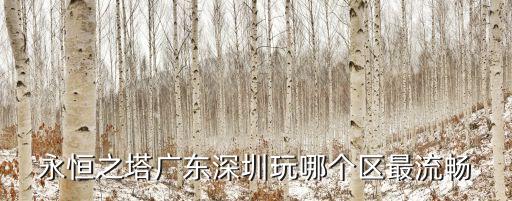 永恒之塔廣東深圳玩哪個(gè)區(qū)最流暢