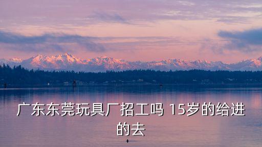廣東東莞玩具廠招工嗎 15歲的給進的去
