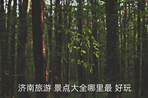  濟(jì)南旅游 景點(diǎn)大全哪里最 好玩
