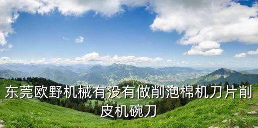 東莞歐野機(jī)械有沒有做削泡棉機(jī)刀片削皮機(jī)碗刀