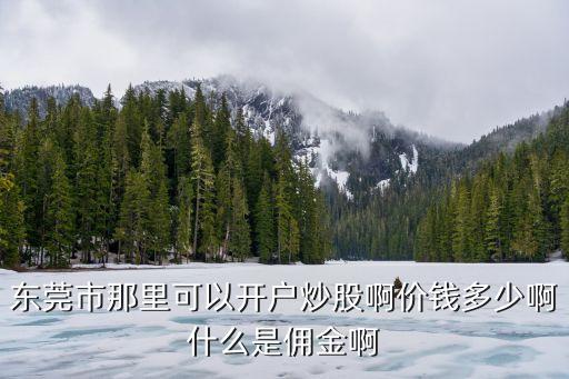 東莞股票傭金開戶，東莞股票開戶最低傭金最低是多少