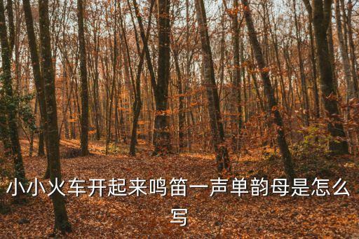 小小火車開起來鳴笛一聲單韻母是怎么寫