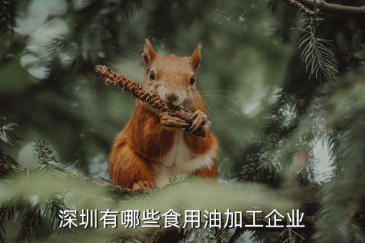 深圳有哪些食用油加工企業
