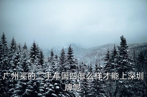 廣州買的二手車國四怎么樣才能上深圳牌呢