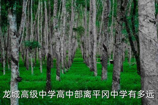 龍城高級中學高中部離平岡中學有多遠