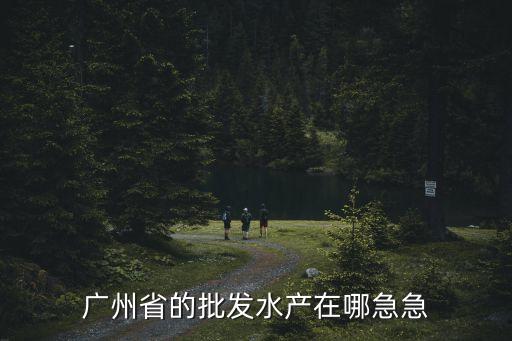 廣州省的批發(fā)水產(chǎn)在哪急急
