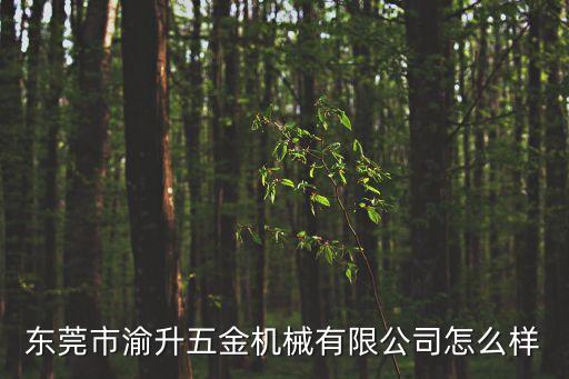 東莞市渝升五金機械有限公司怎么樣