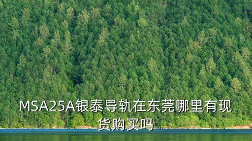 東莞市銀泰電器，MSA25A銀泰導軌在東莞哪里有現貨購買嗎