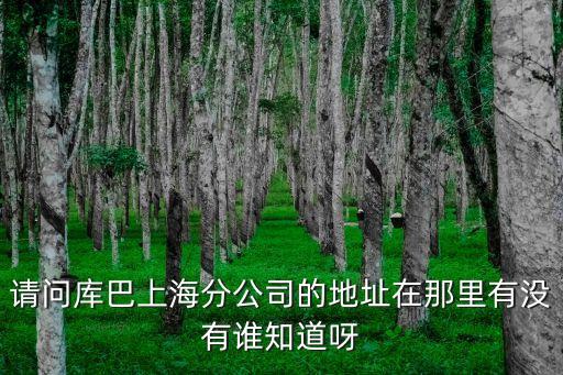 上海市庫卡柔性有限公司地址，上海 calvin klein 的公司地址在哪里啊