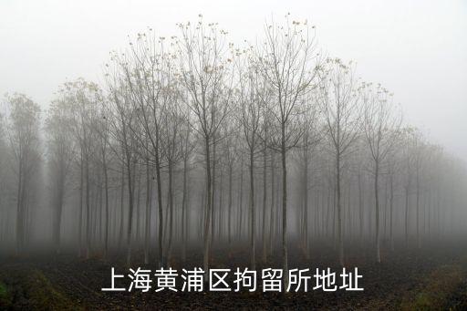 上海市黃浦看守所地址電話號碼是多少，黃浦區拘留所在哪