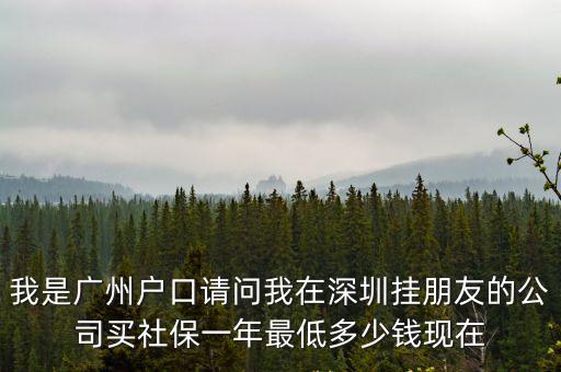 我是廣州戶口請問我在深圳掛朋友的公司買社保一年最低多少錢現在