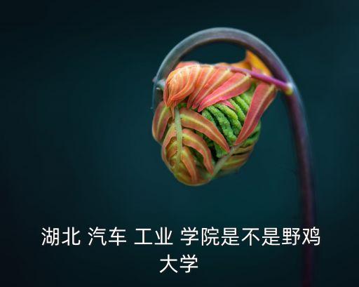 湖北汽車工業(yè)學(xué)院怎么樣,湖北汽車工業(yè)學(xué)院是國(guó)大汽車專科學(xué)院