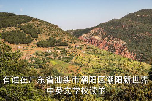 有誰在廣東省汕頭市潮陽區潮陽新世界中英文學校讀的