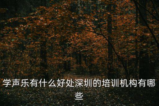 學聲樂有什么好處深圳的培訓機構有哪些