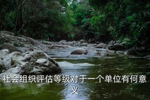 社會組織評估等級對于一個單位有何意義