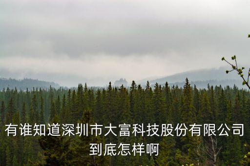 有誰知道深圳市大富科技股份有限公司到底怎樣啊
