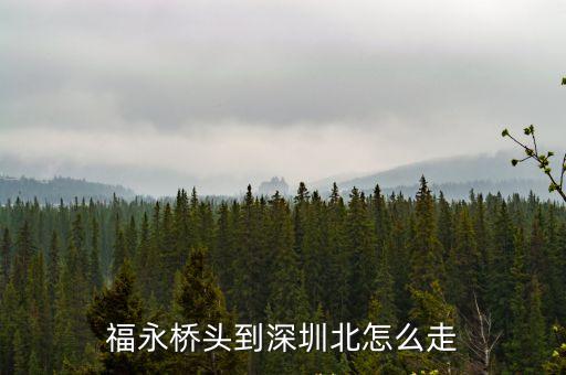 福永橋頭到深圳北怎么走