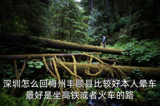 豐順到深圳高鐵站，深圳有火車回梅州豐順嗎