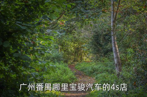 廣州番禺哪里寶駿汽車的4s店