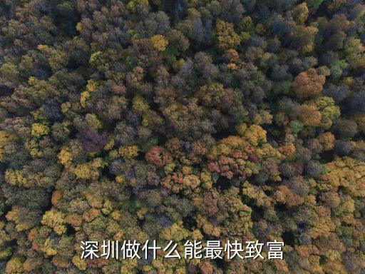 深圳快速賺錢，深圳做什么能快速賺錢