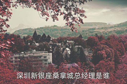 黃x勤深圳，深圳新銀座桑拿城總經理是誰