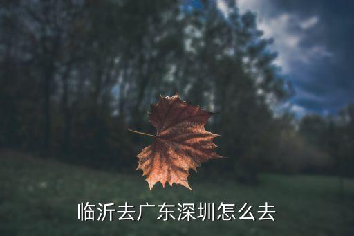 臨沂市到深圳，從臨沂到深圳怎么坐車
