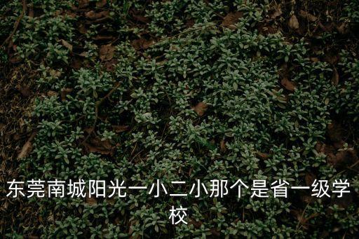 東莞陽光小學學位有哪些，東莞南城陽光一小二小那個是省一級學校