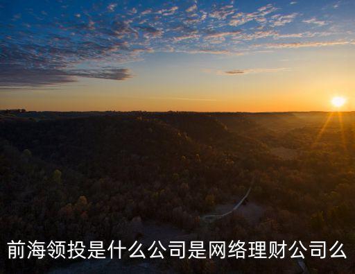 深圳前海領(lǐng)投互聯(lián)網(wǎng)金融服務(wù)有限公司官網(wǎng)，前海領(lǐng)投是什么公司是網(wǎng)絡(luò)理財公司么