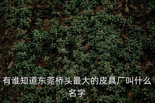 有誰知道東莞橋頭最大的皮具廠叫什么名字