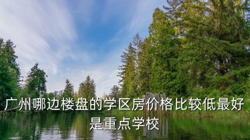 廣州哪邊樓盤的學區房價格比較低最好是重點學校
