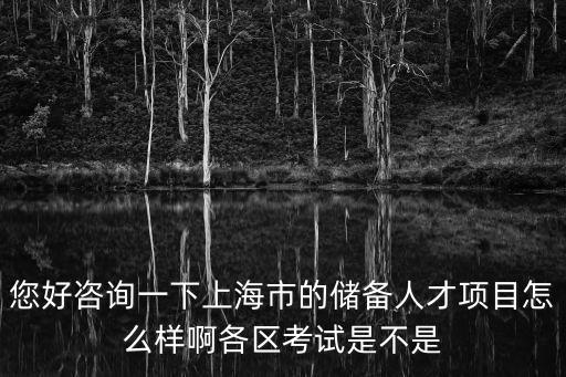 您好咨詢一下上海市的儲(chǔ)備人才項(xiàng)目怎么樣啊各區(qū)考試是不是