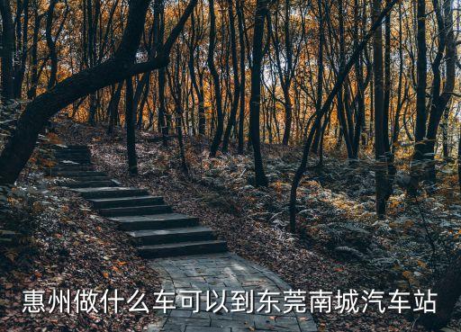 惠州南站到東莞南城怎么坐車，惠州做什么車可以到東莞南城汽車站