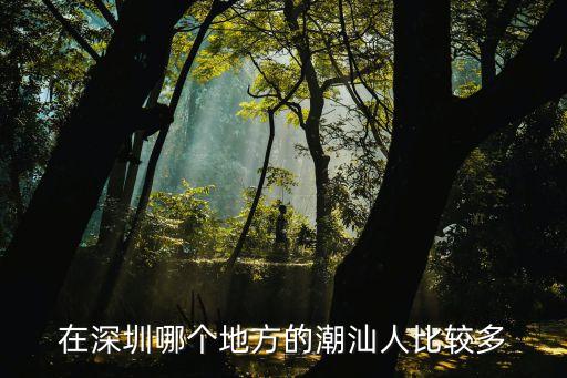 在深圳哪個(gè)地方的潮汕人比較多