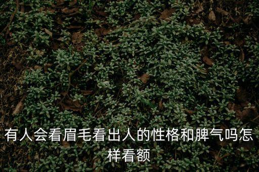 有人會看眉毛看出人的性格和脾氣嗎怎樣看額