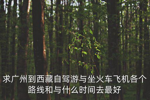 求廣州到西藏自駕游與坐火車飛機各個路線和與什么時間去最好