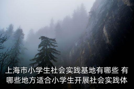 上海市中小學(xué)社會實踐基地設(shè)計，上海市社會實踐基地叫什么