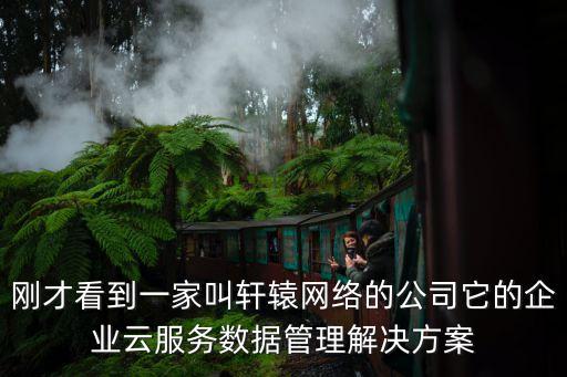 剛才看到一家叫軒轅網絡的公司它的企業云服務數據管理解決方案