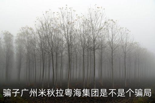 騙子廣州米秋拉粵海集團是不是個騙局